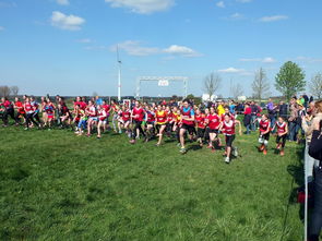 爱游戏官网充值-青少年体育社交平台互动行为研究，青少年体育文化