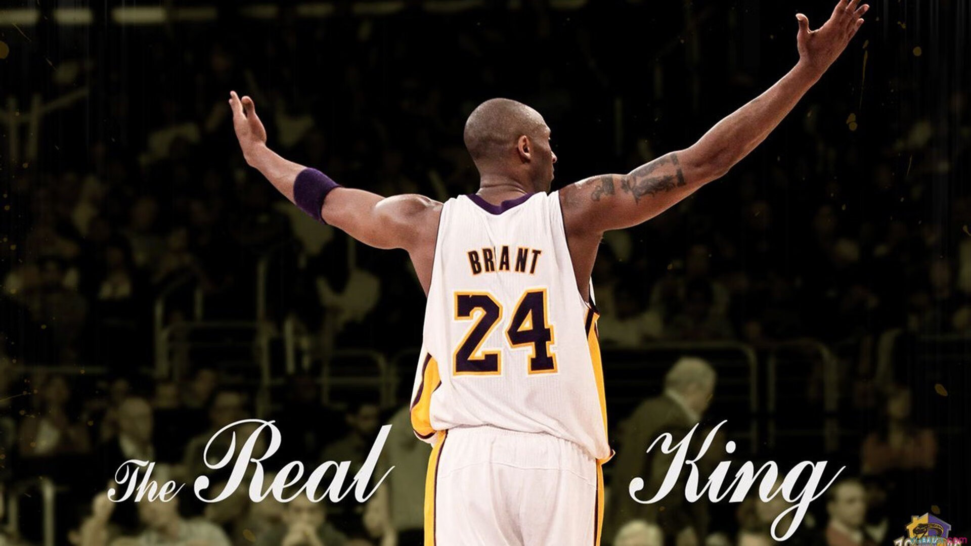 掘金主场优势显现全队化学反应良好,掘金主场是高原吗