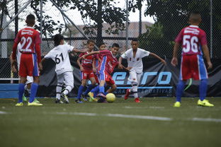 爱游戏ayx-中国足球青训营实地探访报告，中国足球青训现状2020